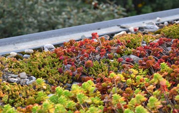 the cost of Garryduff green roof installation